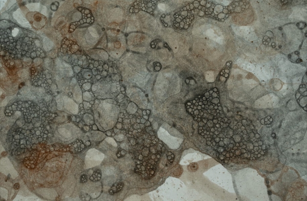 plakat abstrakcyjny Tales Left Behind X różne rozmiary 2 Squares Art Studio