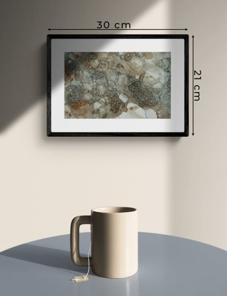 plakat do salonu Tales Left Behind X 21x30 cm różne rozmiary 2Squares Art Studio pp